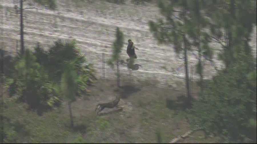 Chopper 2 was live over a police chase on the Turnpike on Thursday afternoon. Watch as a K-9 takes down the suspect.