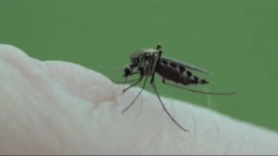 Volusia County has announced its first human case of West Nile Virus this mosquito season.