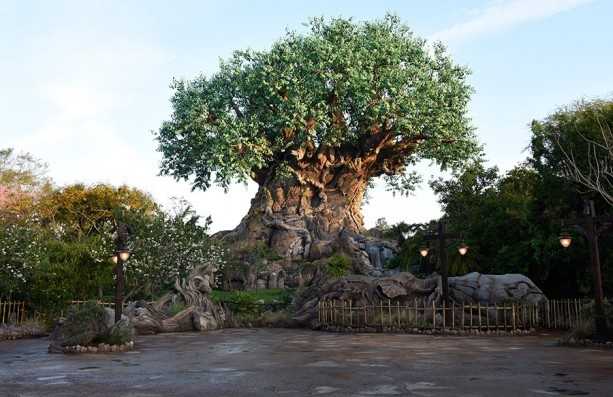 Animal Kingdom's Tree of Life reveals new carvings