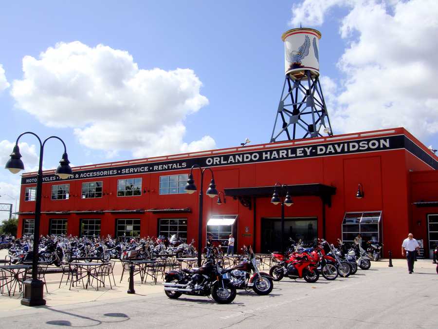 Top 5 things to do this weekend in Central Florida