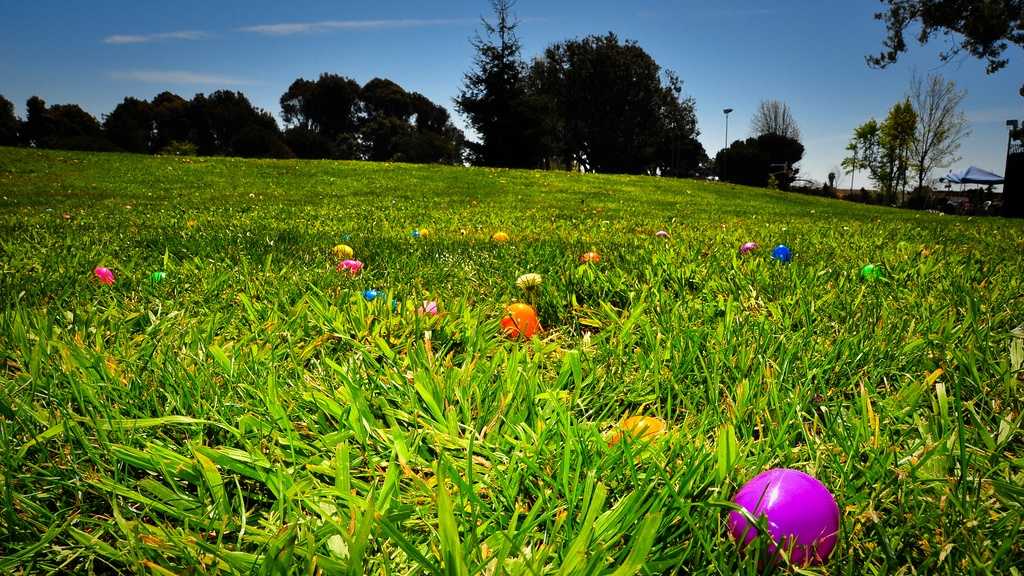 Top 5 things to do Easter weekend in Central Fla.