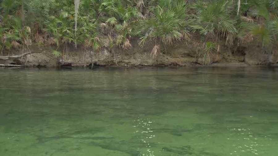 The body of a missing diver was found Monday evening at Blue Spring State Park in Orange City, according to the Volusia County Sheriff's Office.