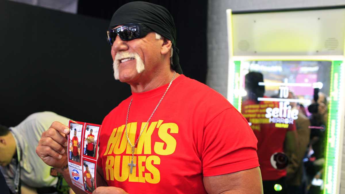 Hulk Hogan sues website over sex tape