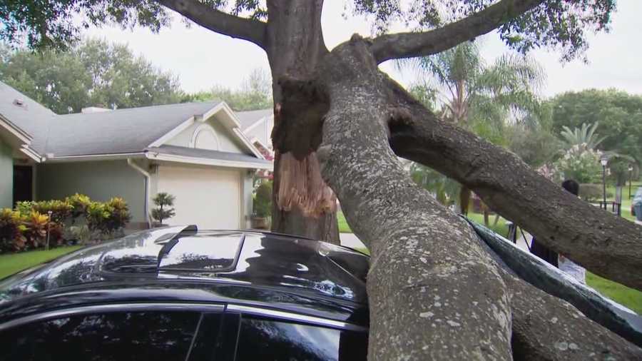 An Orlando couple were awakened by the sound of a tree falling onto their cars. Alex Villarreal (@AlexvWESH) has the story.