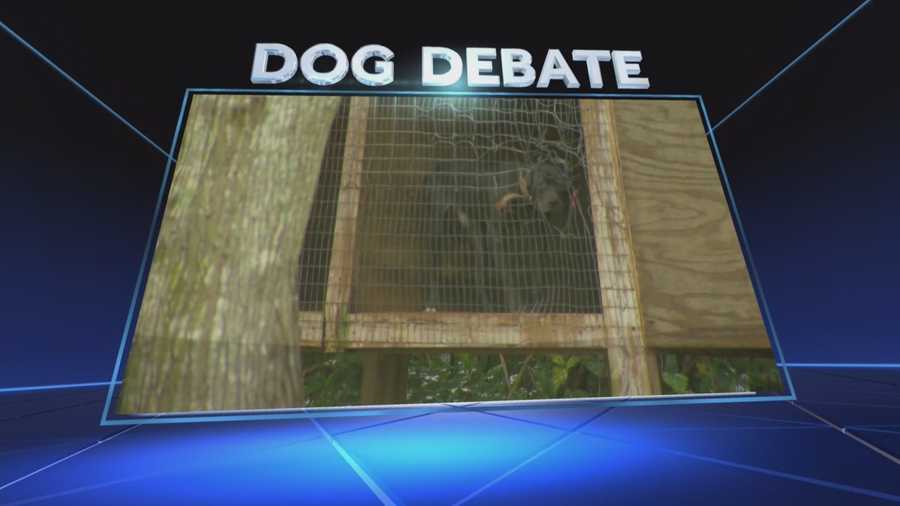 Dozens are outraged after allegations of animal abuse and a possible dog fighting ring were reported in Orange County. Chris Hush (@ChrisHushWESH) has the story.