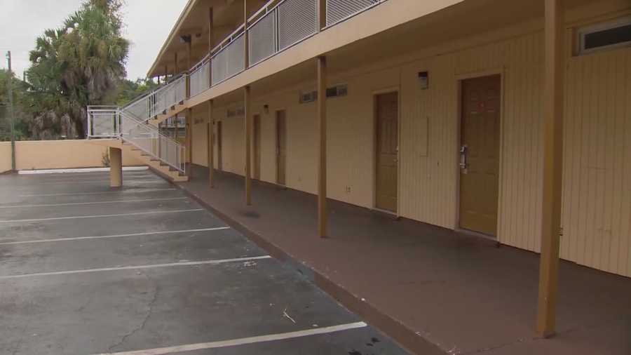 Bed Bugs Reported At Daytona Beach Hotel A Daytona Beach Said Bed Bugs Ruined Their Recent Stay At The Host Inn In