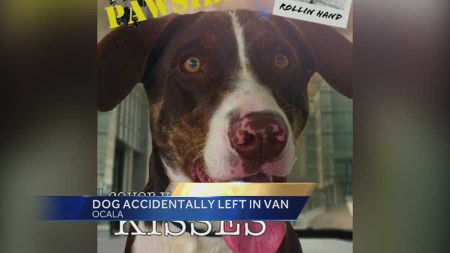 A 1-year-old dog was accidentally left in a transport van for two hours. Now, the Humane Society is establishing some rules in the wake of the dog's death. Gail Paschall-Brown (@gpbwesh) has the story.