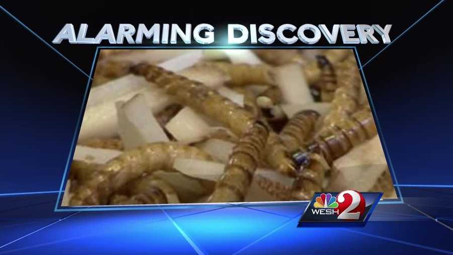 Orange County schools have pulled rice from the menu after a student reported finding a mealworm in the food.