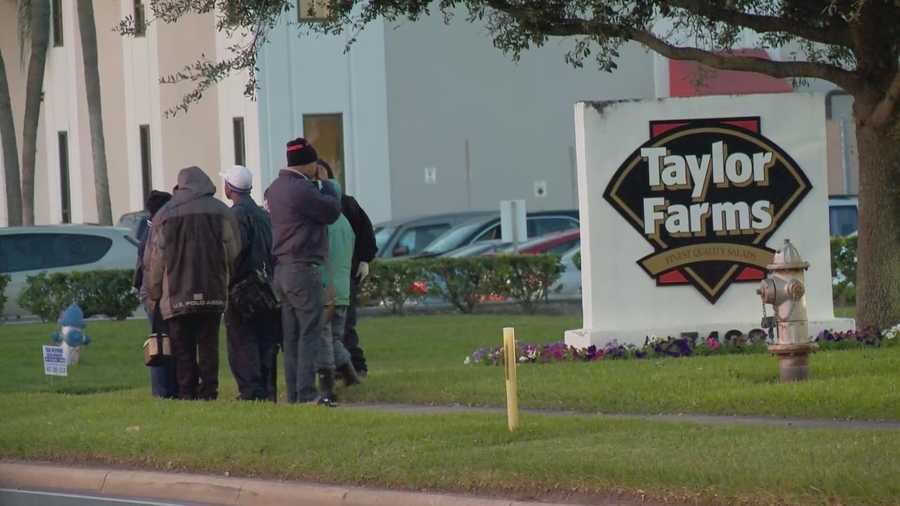 A worker at Taylor Farms Florida was killed in an industrial accident Wednesday morning, an Orange County fire official confirmed. It happened at the food distribution center in the 7000 block of Chancellor Drive, near South Orange Blossom Trail and Sand Lake Road. Michelle Meredith (@MichelleWESH) has the latest update.