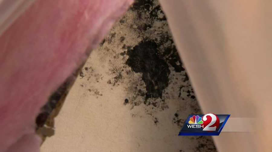 Local homeowners say their homes are rotting from the inside out. Cracked stucco and mold build-up are among some of the problems they have reported experiencing. WESH 2 Investigates went to a Windermere neighborhood with a team of experts to look at their concerns. Stewart Moore reports.