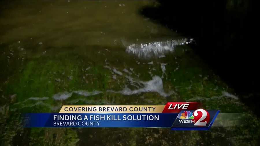 It's an image we've seen for the past week along a Central Florida waterway: countless dead fish. Chris Hush (@ChrisHushWESH) has the latest update on the cleanup effort. Leaders and residents are working to find a way to save the lagoon.