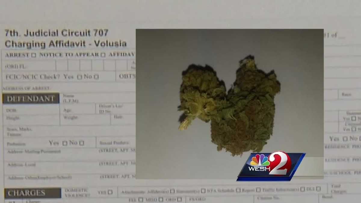 Volusia County's marijuana decriminalization law begins