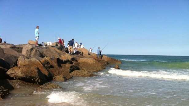 Teen Bitten By Shark In New Smyrna Beach