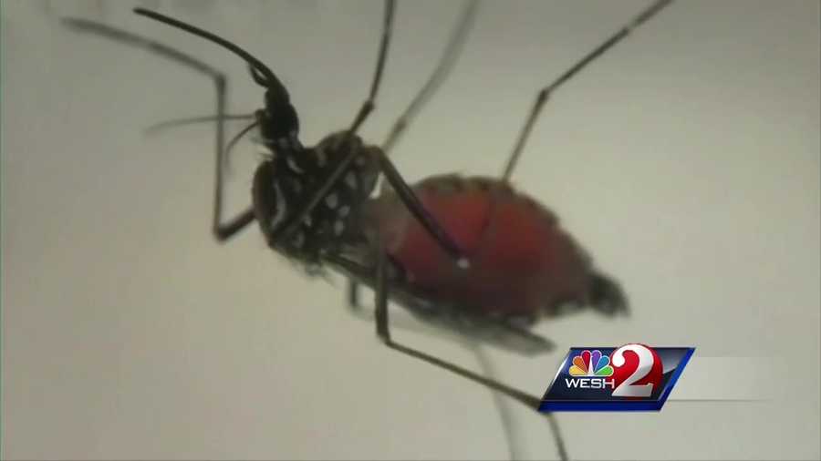 A new case of the Zika virus has been reported in Orange County. It comes as Puerto Rico announced that it has suffered its first death from the Zika virus. Chris Hush (@ChrisHushWESH) speaks to a local physician about what precautions to take.