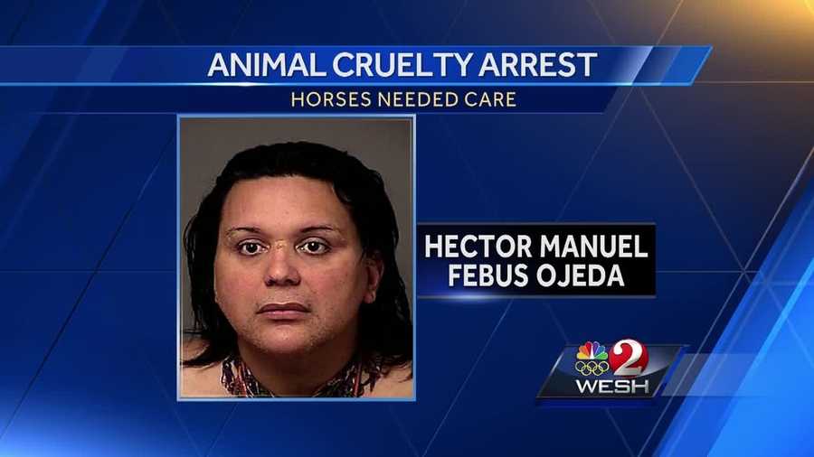 An Orlando man is facing animal cruelty charges after a horse that belonged to him was found with large, open wounds in Kissimmee, officials told WESH 2 News.