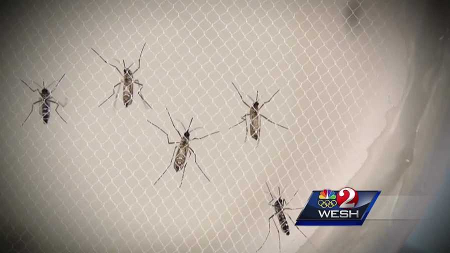 With a big rainmaker moving over Central Florida and more rain in the forecast afterward, officials want residents to be mindful of mosquitoes, since they thrive in stagnant water. Matt Lupoli reports.