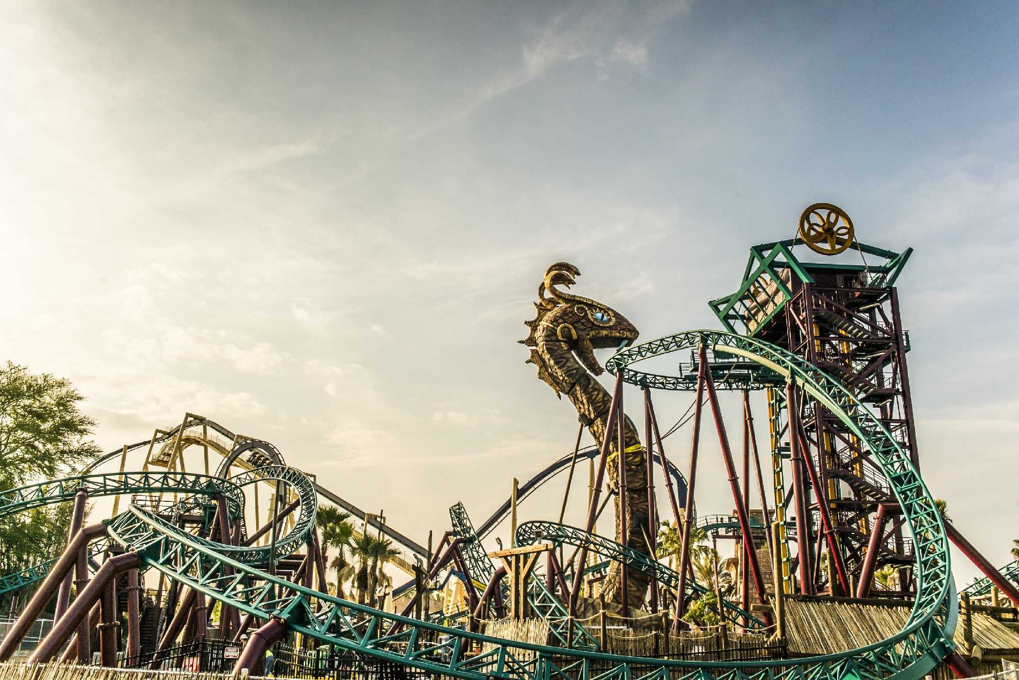 Busch Gardens Tampa Bay Cobra s Curse to open June 17