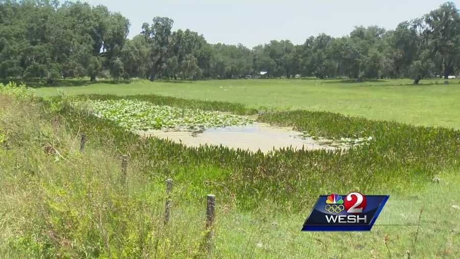 A Sumter County man is recovering Wednesday after being bitten by an alligator outside of his home.