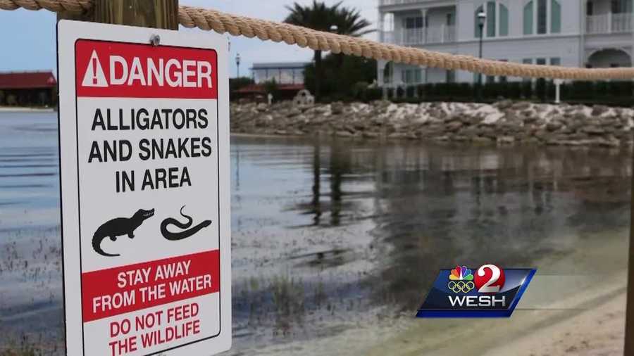 Walt Disney World Resort has made more changes in the wake of a fatal alligator attack earlier this month. "No fishing" signs have gone up at Saratoga Springs Resort and Spa, the Fort Wilderness Campground and the Old Key West Resort. Amanda Ober reports.