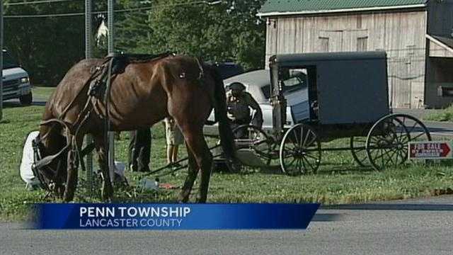 Horse and buggy, car collide in Lancaster County