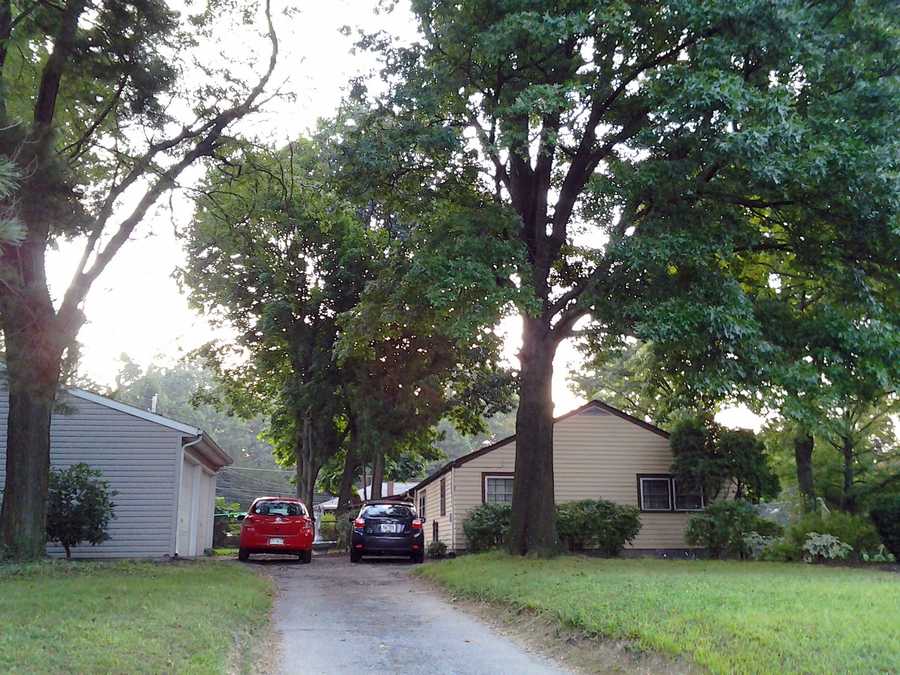 See Susquehanna Township murdersuicide scene