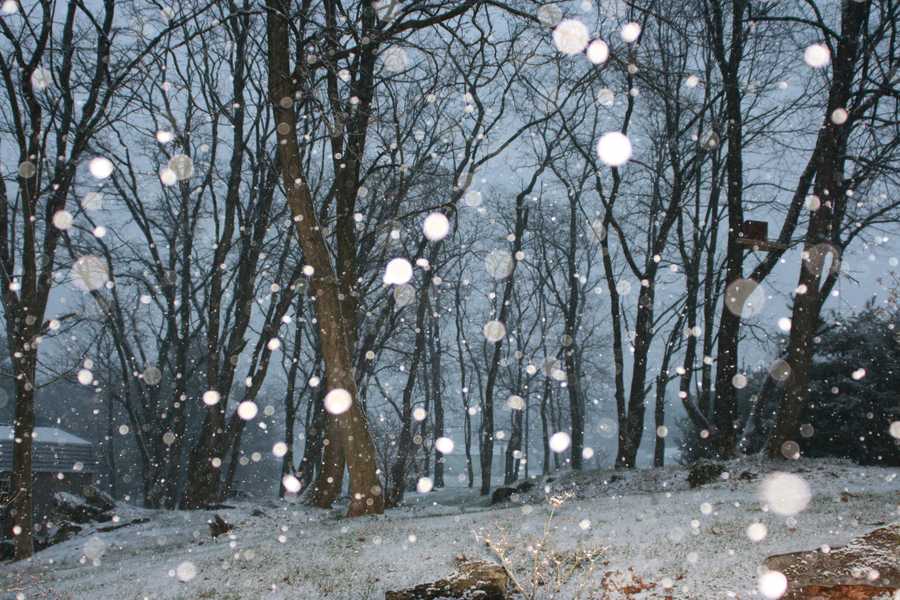 See snowy Christmas Eve photos