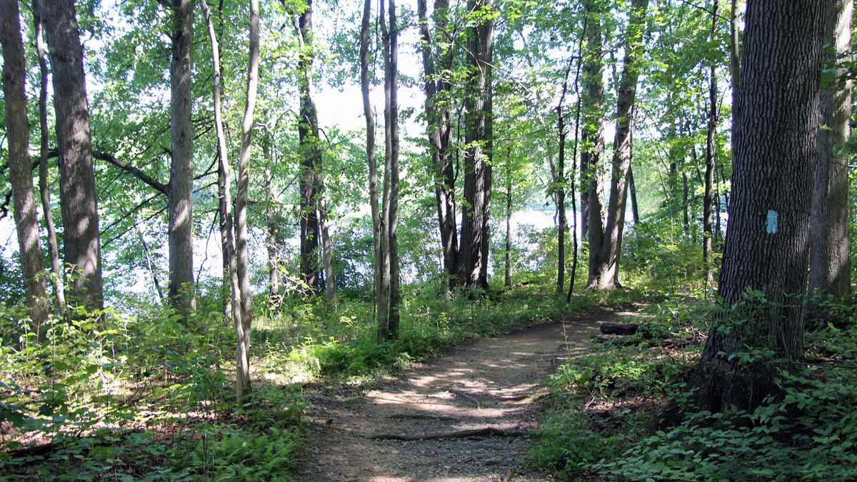 50 photos Take virtual tour of French Creek State Park