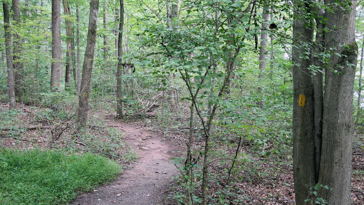 50 photos Take virtual tour of French Creek State Park