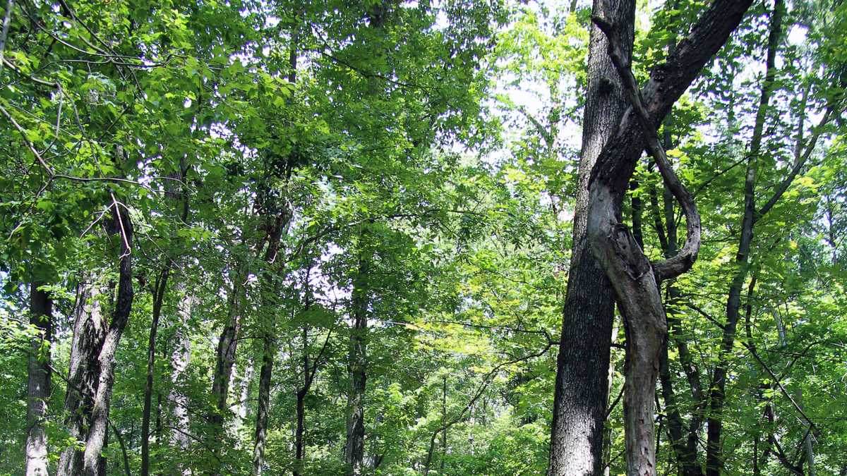 50 photos: Take virtual tour of French Creek State Park