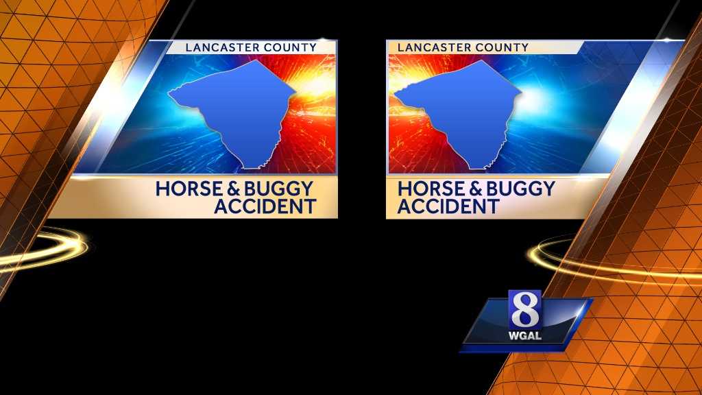 Horse killed after car collides with buggy in Lancaster