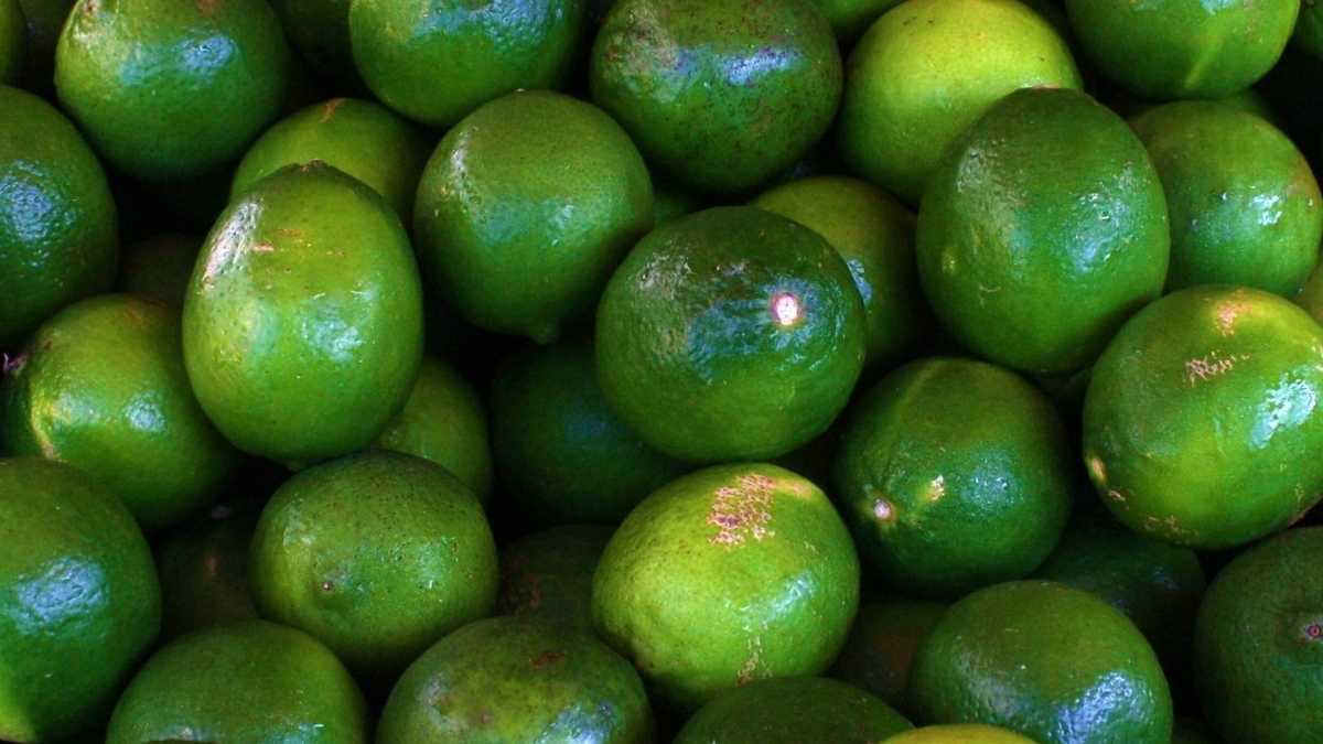 Hold the lime? Price of limes rises following drought