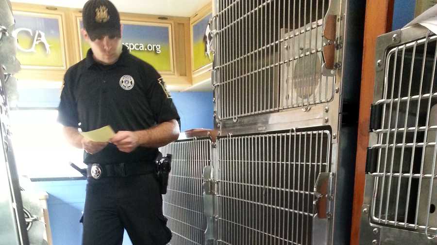 25 cats seized from Quarryville Farm 25 cats seized from Quarryville Farm