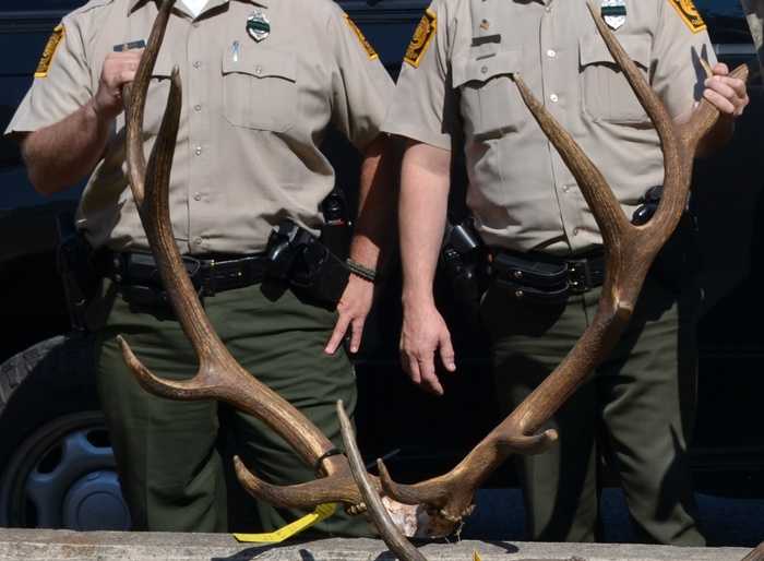 Photos Huge bull elk shot illegally, officials say