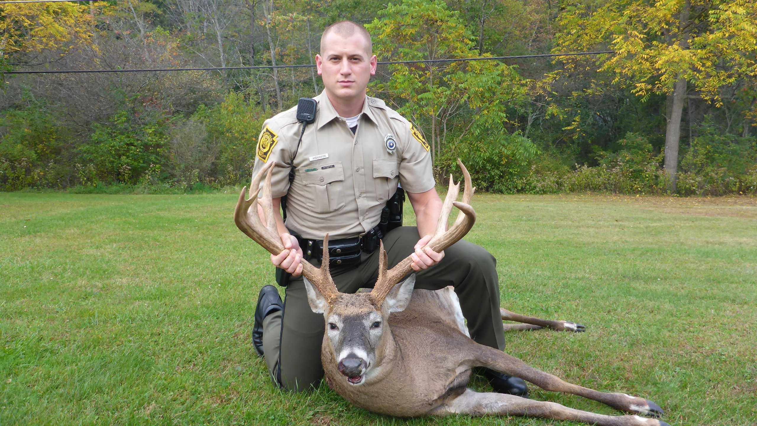 228-Pound Buck Killed Illegally, Police Say