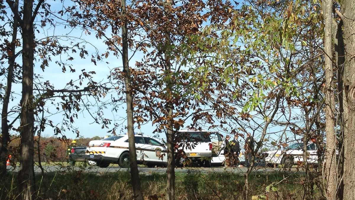 Photos: Driver flees after traffic stop, crashes