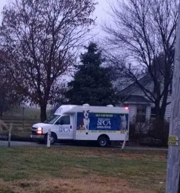 Photos 10 dogs rescued in Lancaster County