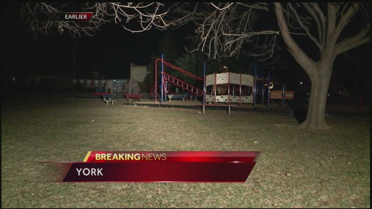 Man Found Shot To Death Near Playground