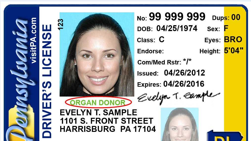 PennDOT to replace licenses with errors