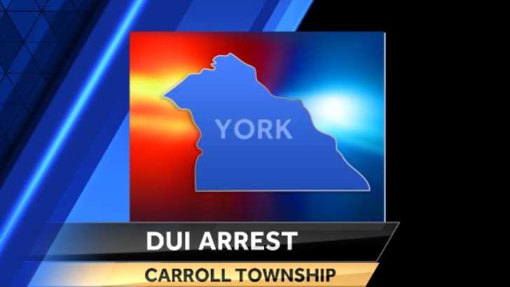 Police: Woman charged with DUI after hitting police car