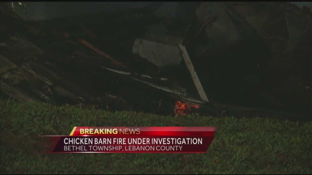 Second chicken house fire in a week under investigation