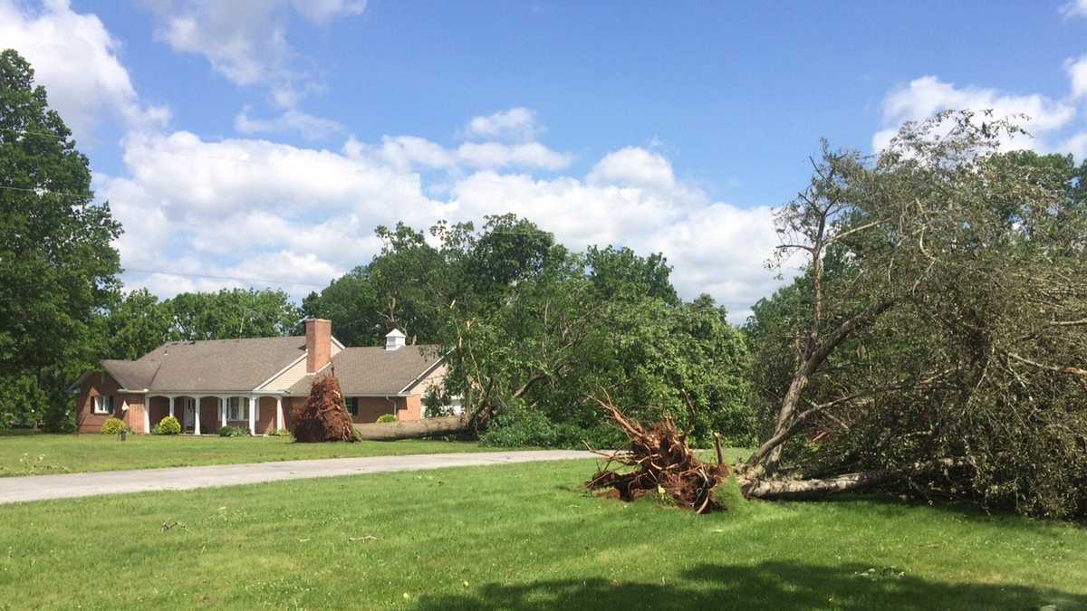 Photos: Severe storms sweep through Susquehanna Valley