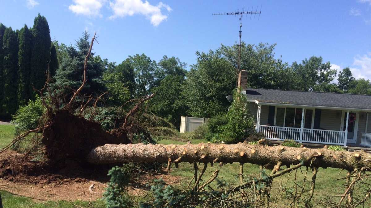 Photos: Severe storms sweep through Susquehanna Valley