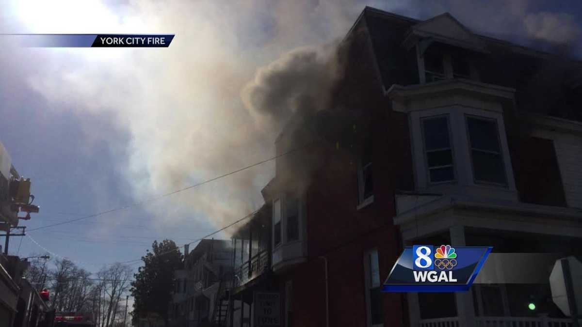 Dog hailed a hero after alerting York family to fire sparked by toaster