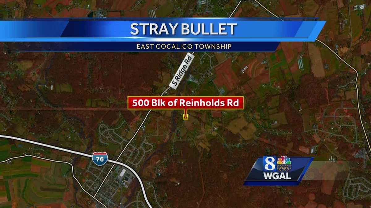 Stray Bullet Hits Woman Inside Her Home 