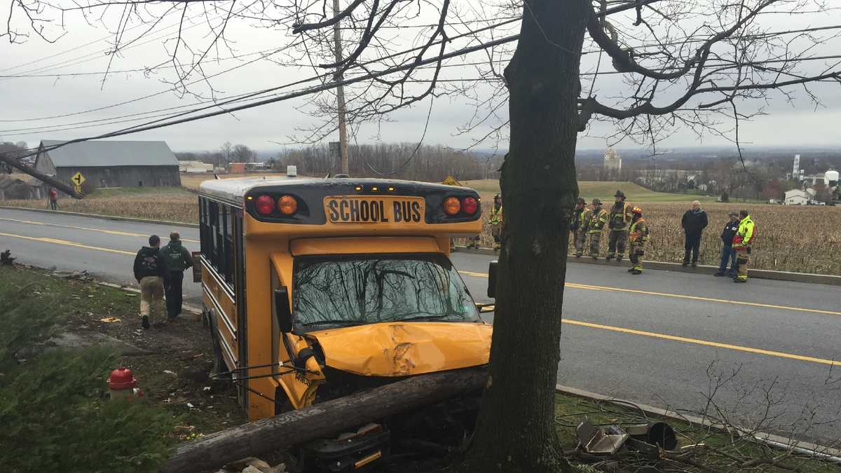 School bus crashes into tree, knocks down wires in Lancaster County