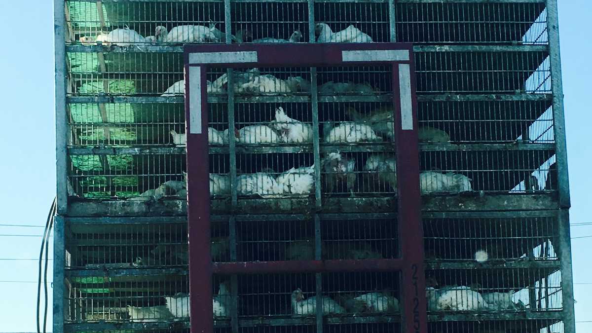 Crews respond to ammonia leak at Tyson chicken plant in Lancaster County