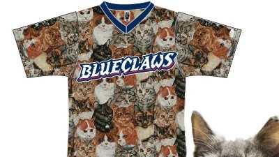 cat phillies jersey