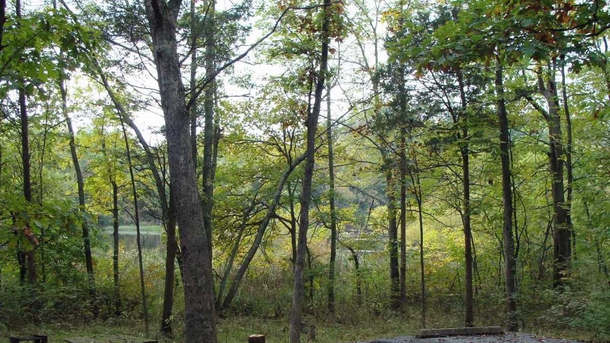 Take a tour of Gifford Pinchot State Park