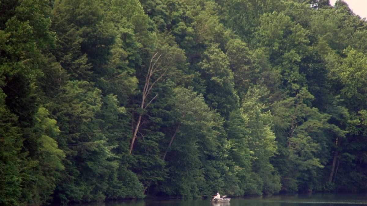 Boat, fish at Holman Lake
