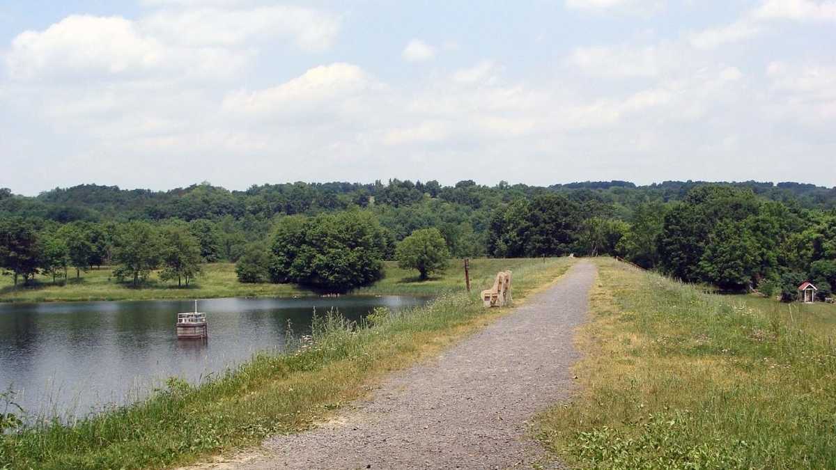 Boat, fish at Holman Lake